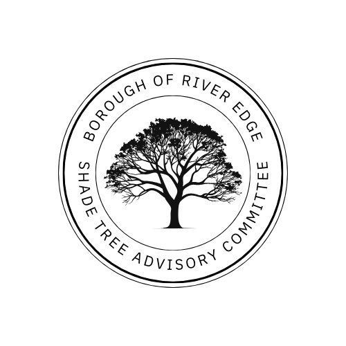 Borough of River Edge New Jersey Bergen County Shade Tree Advisory